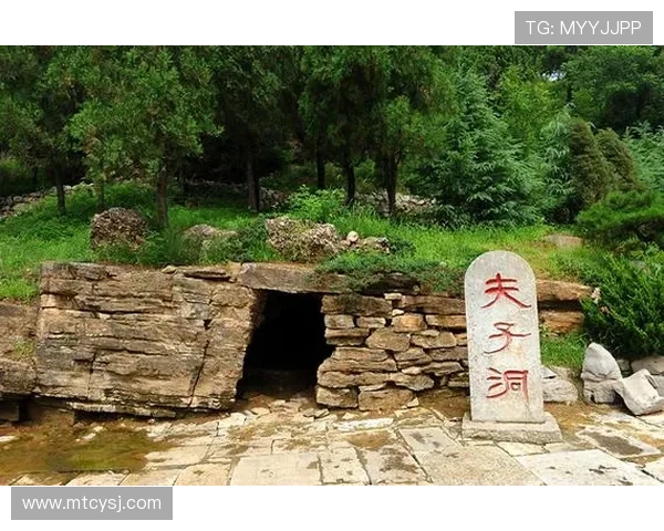 穿越千年宫墙：一场关于权谋、情爱与人性的浮世绘